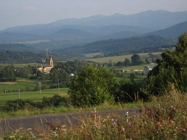 Pooniny  widok  z Duej Obwodnicy ; Bieszczady: fot. przewodnik Maria Tercha